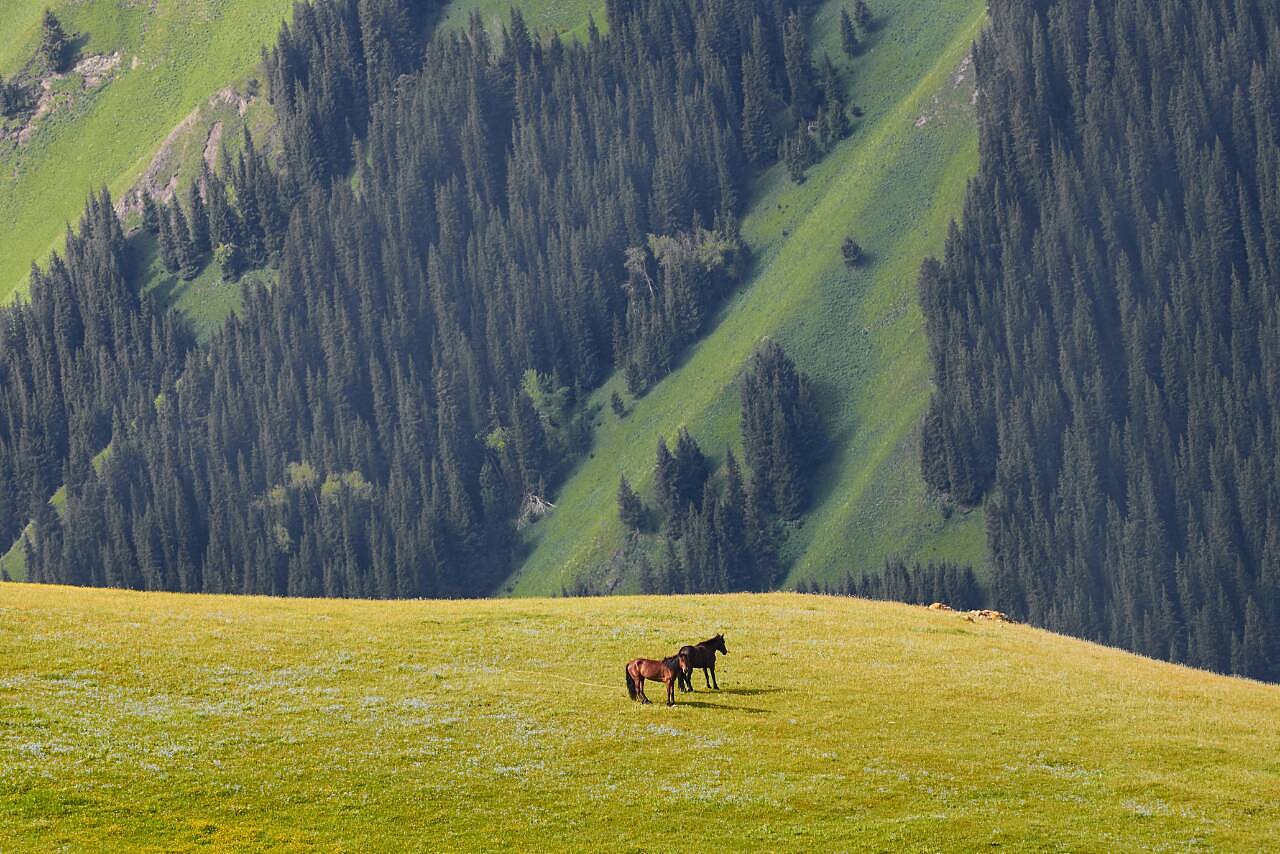 新疆，神秘多元魅力之地的探索与揭秘